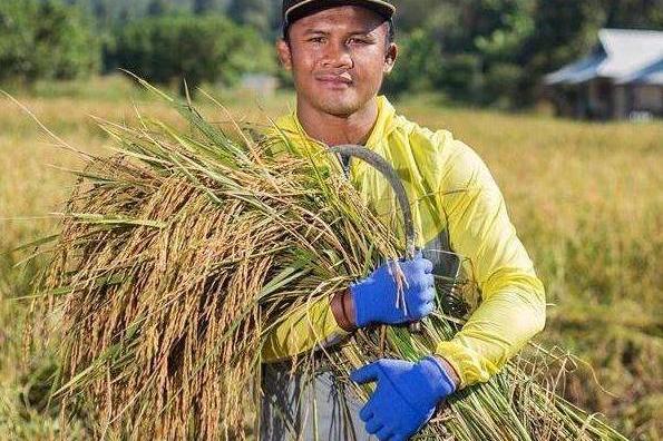 泰国拳王播求有多低调?成名后依然选择回家种地,热衷田园生活_比赛
