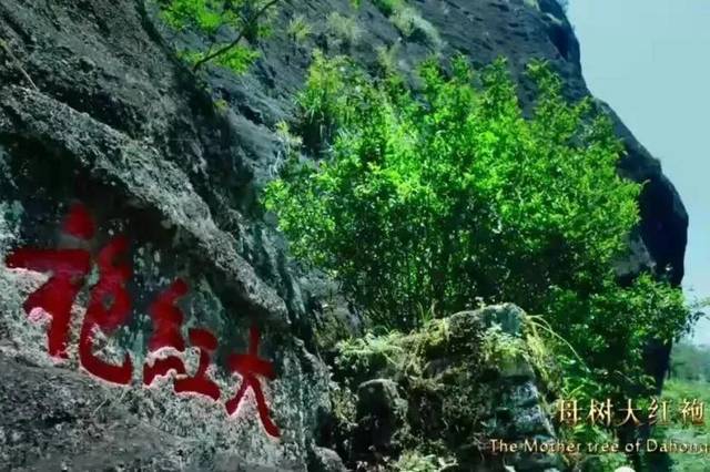 http://p1.itc.cn/a_auto,c_cut,x_130,y_0,w_819,h_546,c_zoom,w_640,q_70/images01/20201221/8e333cfce4c043bfb161b52e0e1861c1.jpeg