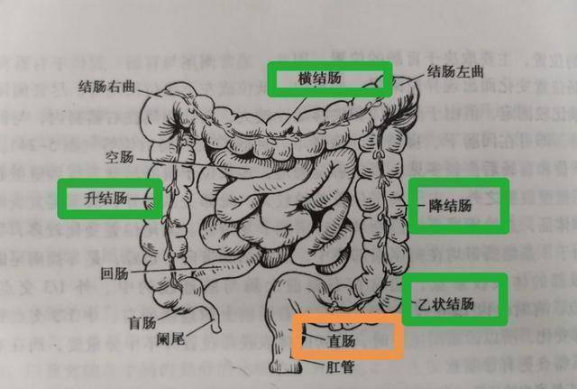 直肠癌术后2年复查正常,复发几率还有多大?医生跟您算一算