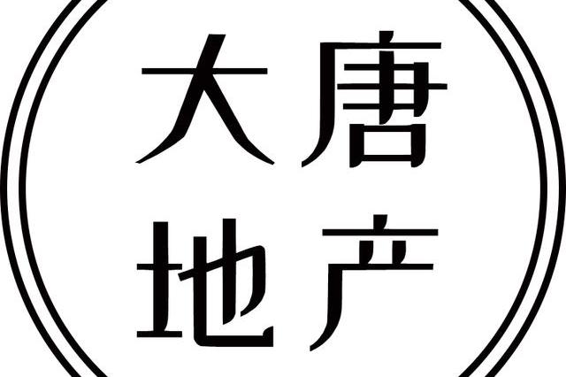 厦门前首富名下大唐地产赴港上市:净负债.