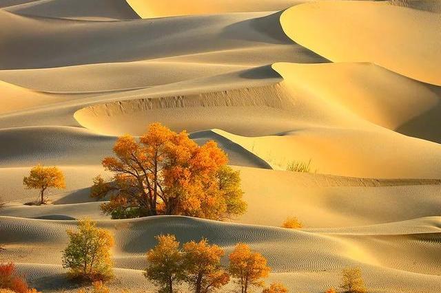 塔克拉玛干沙漠,中国最大的沙漠才不是"死亡之海"!