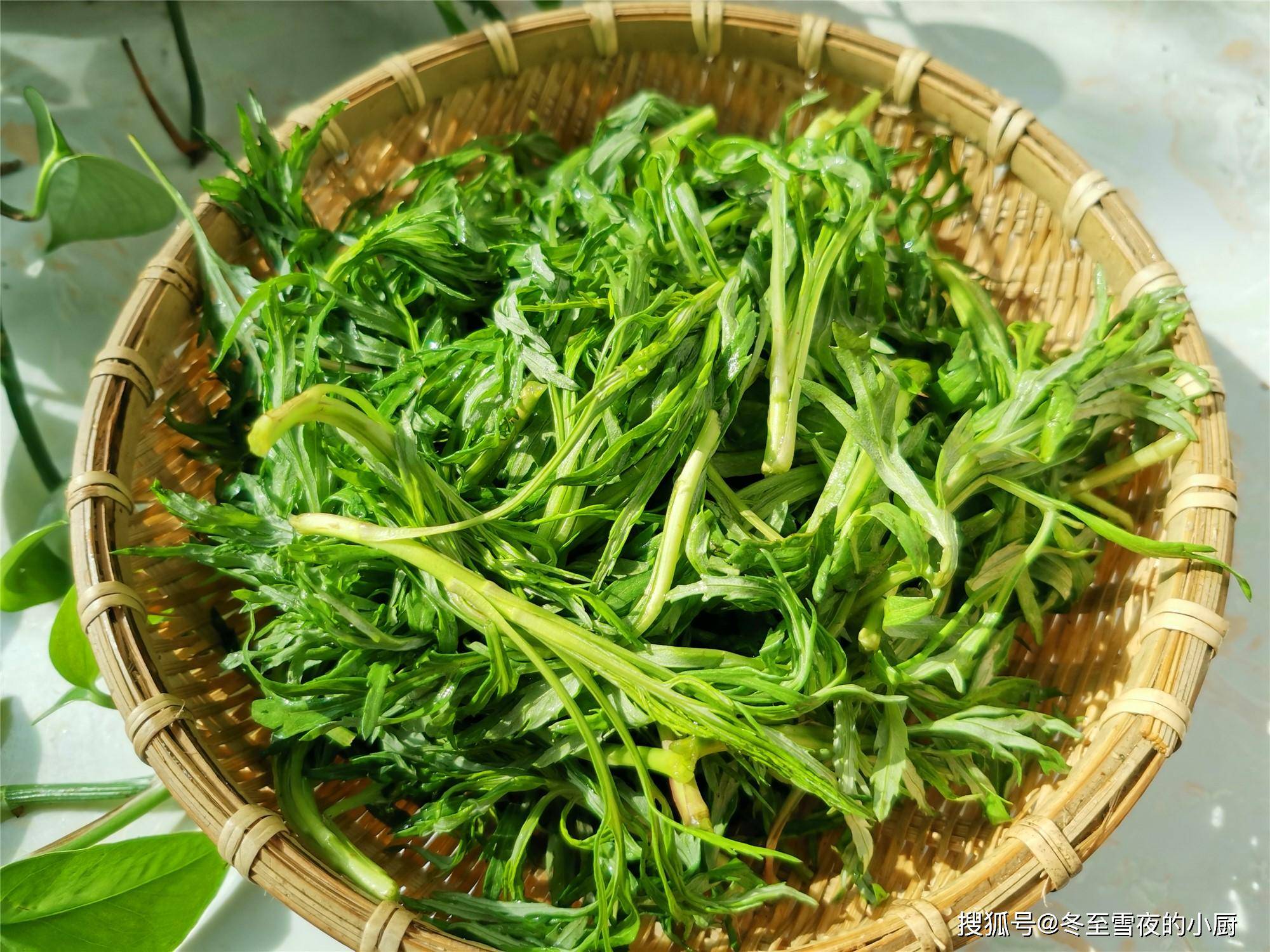 5月,这个野菜在东北非常受欢迎,清香清脆,天热吃它不上火_柳蒿芽