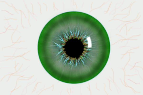 3c972715921a4f3b82eb190272739387.png