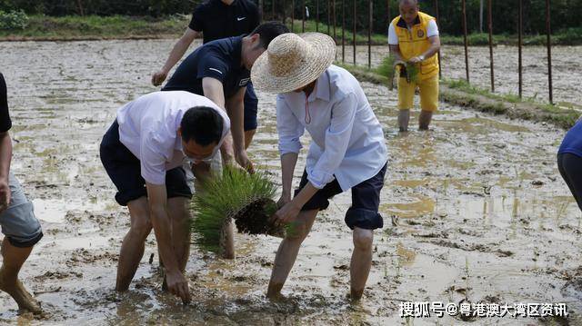 在农场工作的工人是农业人口_农场图片卡通(2)