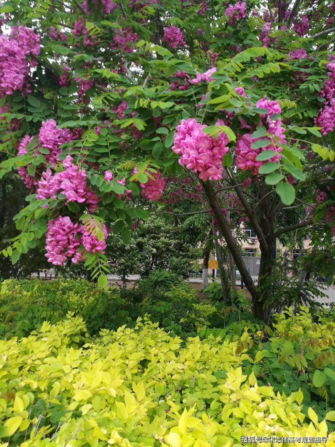 甘什么雨成语_成语故事简笔画(2)