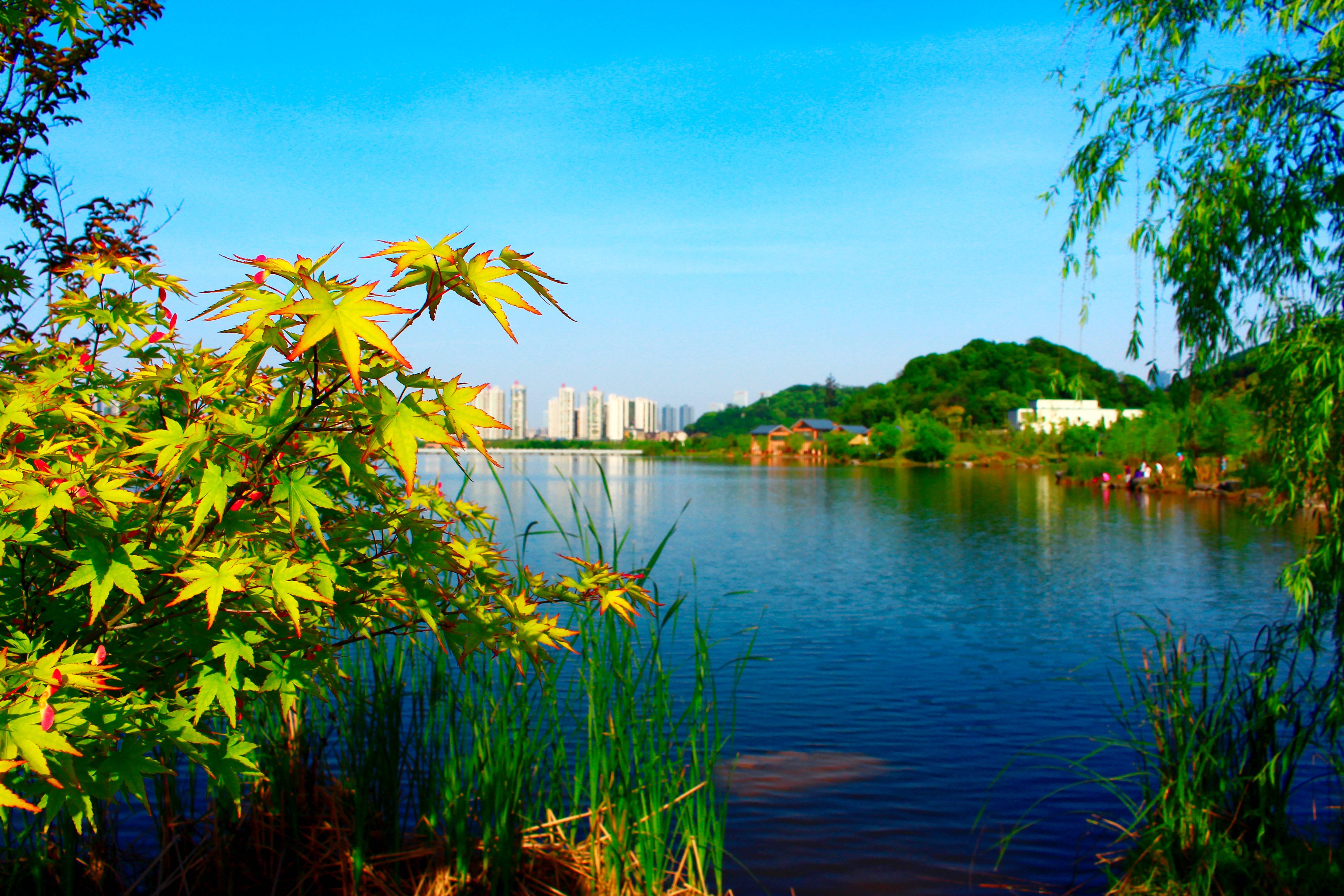 长沙西湖公园美景一览
