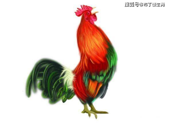 69年属鸡最好微信名,属鸡的幸运植物 生肖鸡财气出众,会享受生活,越老越吃香,尤其是69年的属鸡人!