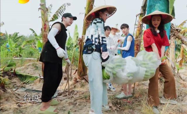 香奈儿时髦依旧！王鸥穿一身香赶飞机却显土气周迅穿4万7香奈儿干农活