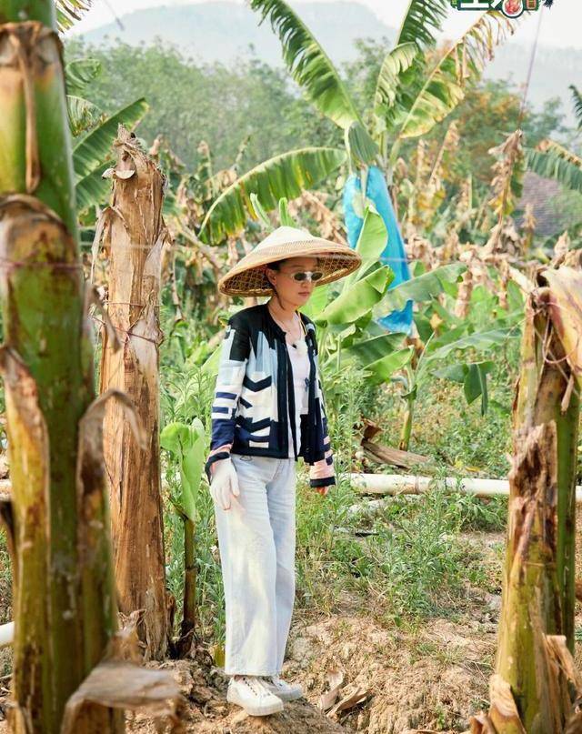 香奈儿时髦依旧！王鸥穿一身香赶飞机却显土气周迅穿4万7香奈儿干农活
