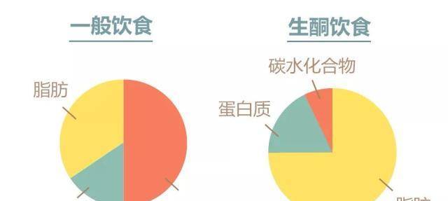 什么是生酮饮食什么是低碳饮食 24601e9798a74e799ba9e6e18755ab20.jpeg