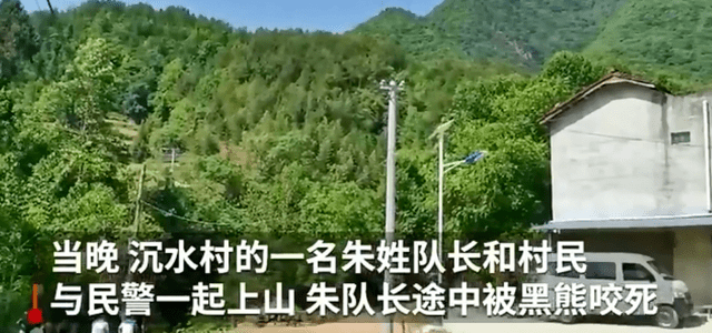 黑熊咬死村民被击毙，有人竟为黑熊喊冤