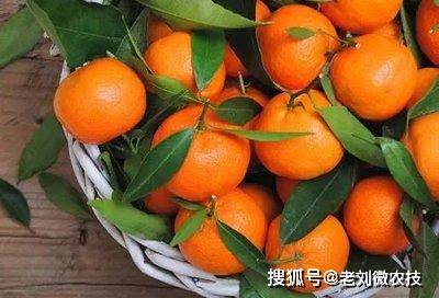 ae1ec506959e4170a61b226f873e15c9.jpeg