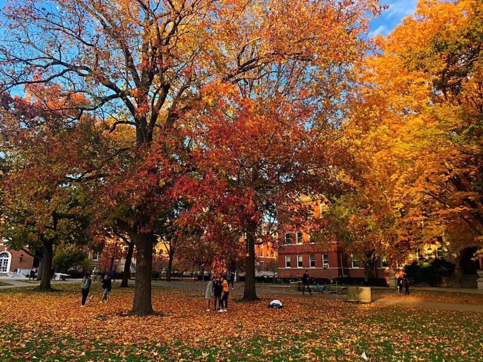 明尼苏达州大学2020_明尼苏达大学双城分校2020年最新招生录取政策解析