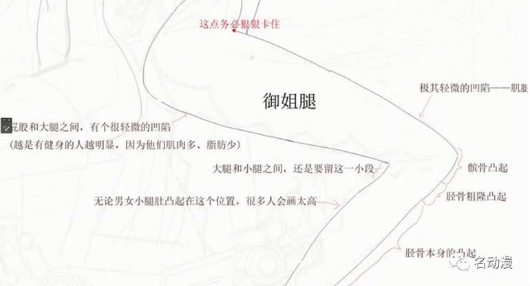 二次元美女人体绘画教程