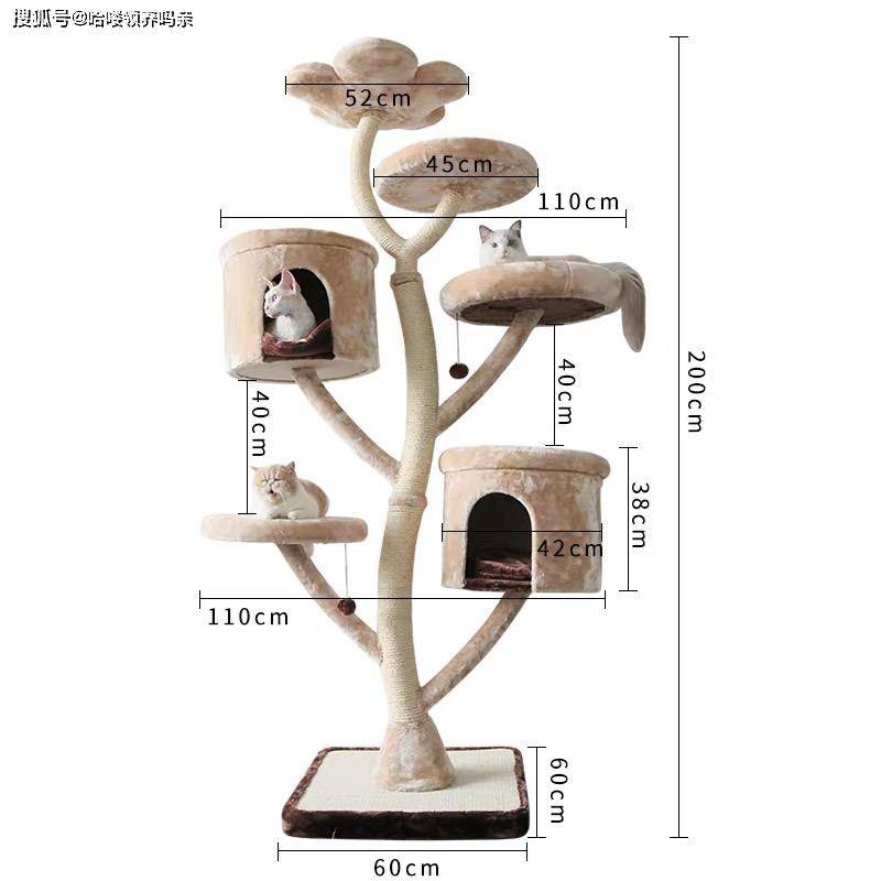 原创养猫功课猫爬架值不值得购买一文教你分辨猫爬架的功能和结构