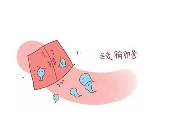 d56236e824174ff995266774e4fa1da5.png