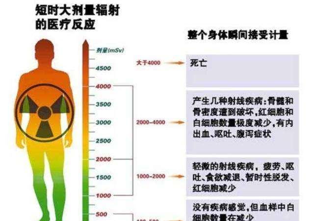 什么是应激反应 人体怎么应对 02ee466007174cecb2339b0f180ed1b1.jpeg