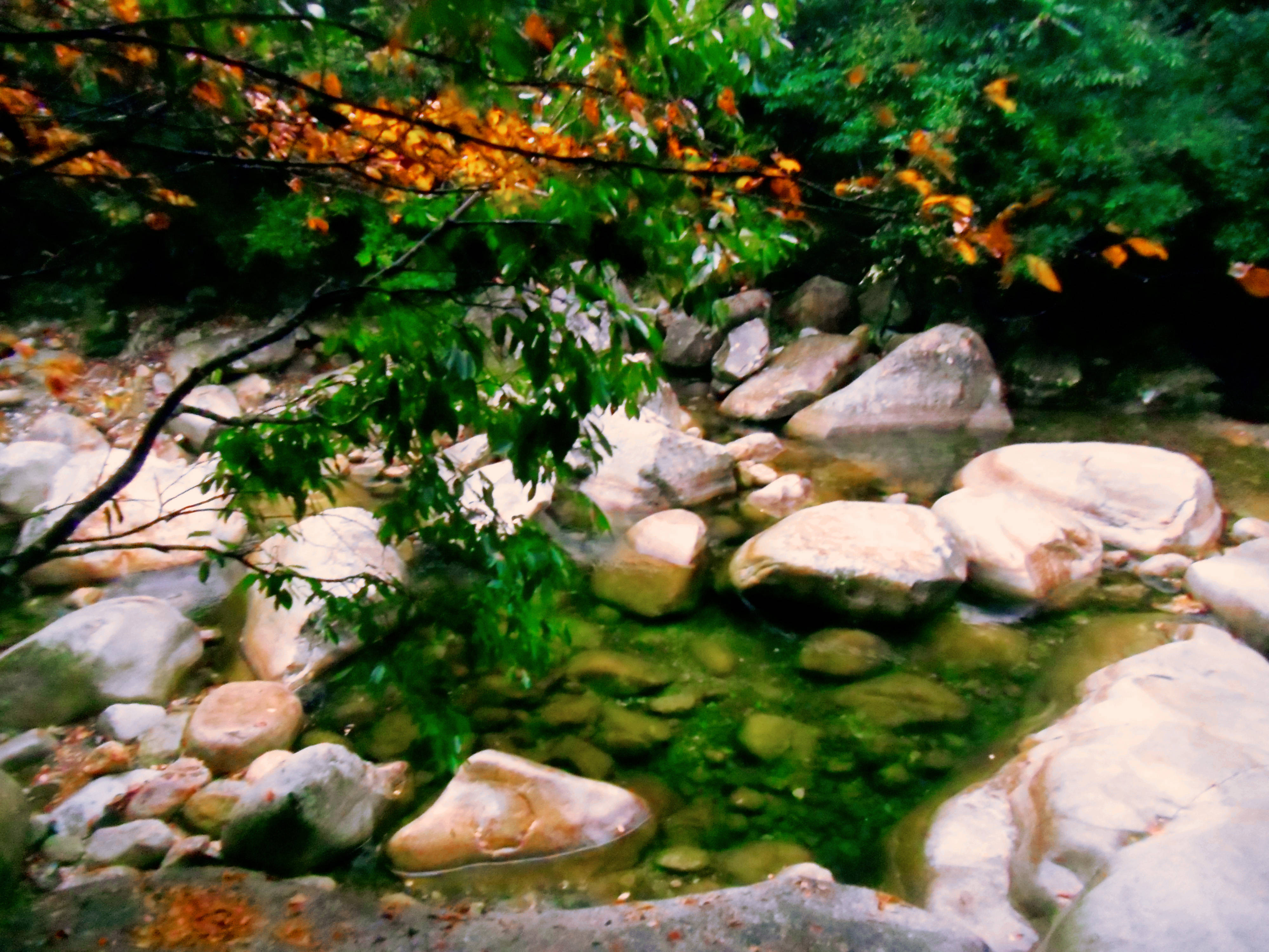 美丽的婺源风景卧龙谷景区