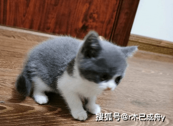 87e9256bf59b4fcbabd28a955a810ac8.png