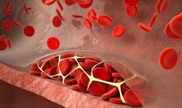 什么叫正常生理 9780b95fe4034df0b4eb7cfb3dfaafac.jpeg