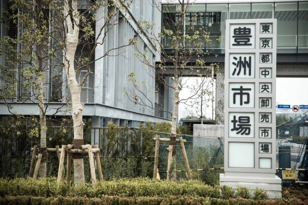 东京人口外迁_东京人口(2)