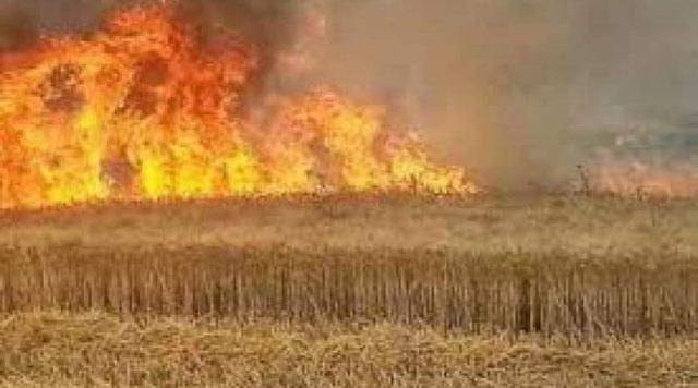 太缺德，美军不甘心叙利亚战争失败，放火烧了叙利亚2万公顷小麦
