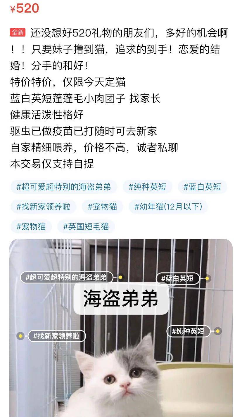 520分手的人，正在闲鱼上“贱卖”自己的爱情