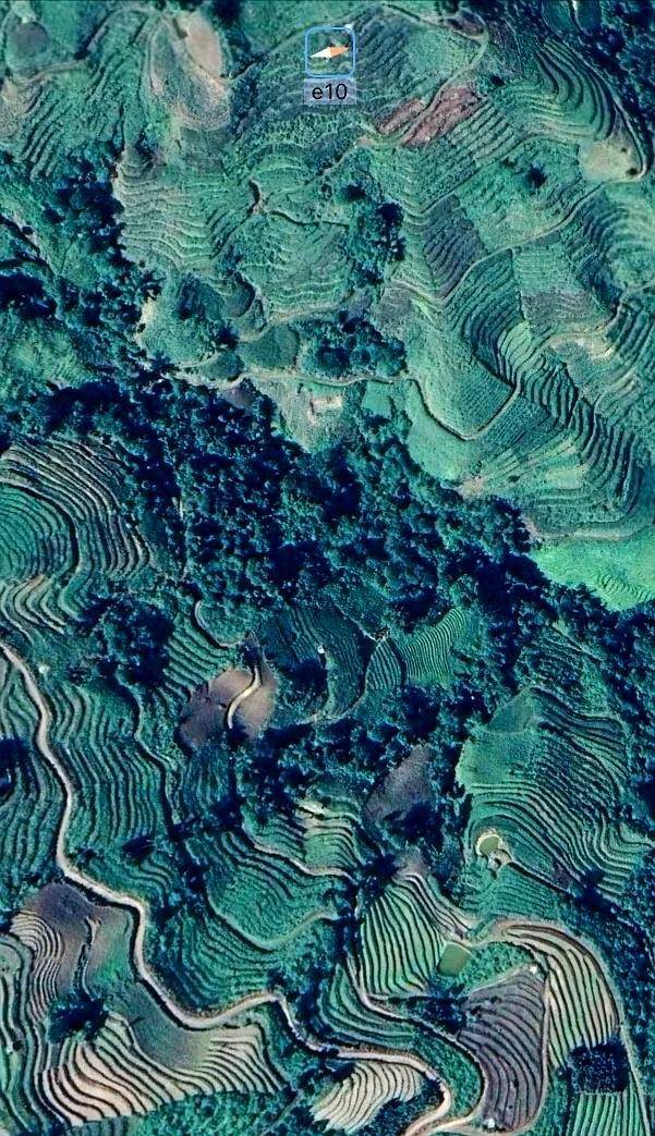 图片源自/新林宣传 09 在卫星地图上, 也可以发现"新大陆".图片