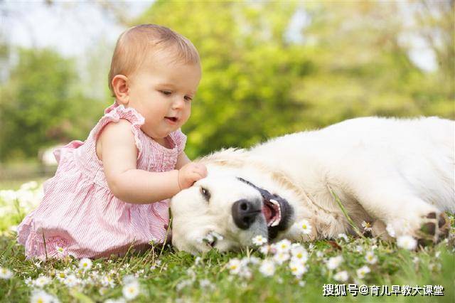 夏天穿什么颜色的衣服招虫子 ae86438f3b434944a819ac5f590bc995.jpeg