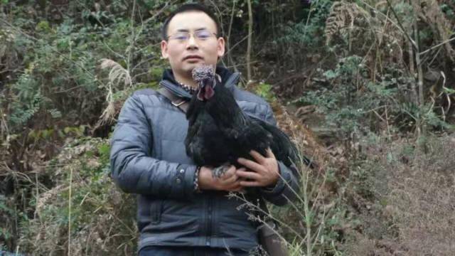 岳父嫌他“没钱买房”，跪求他离开自己女儿，他辞职遁入深山养鸡