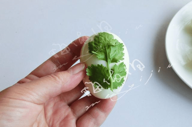 GDP小卤蛋_小卤蛋