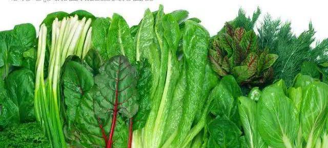 绿叶蔬菜热量由低到高 bdafdfb052794afa8d37313462176b01.jpeg