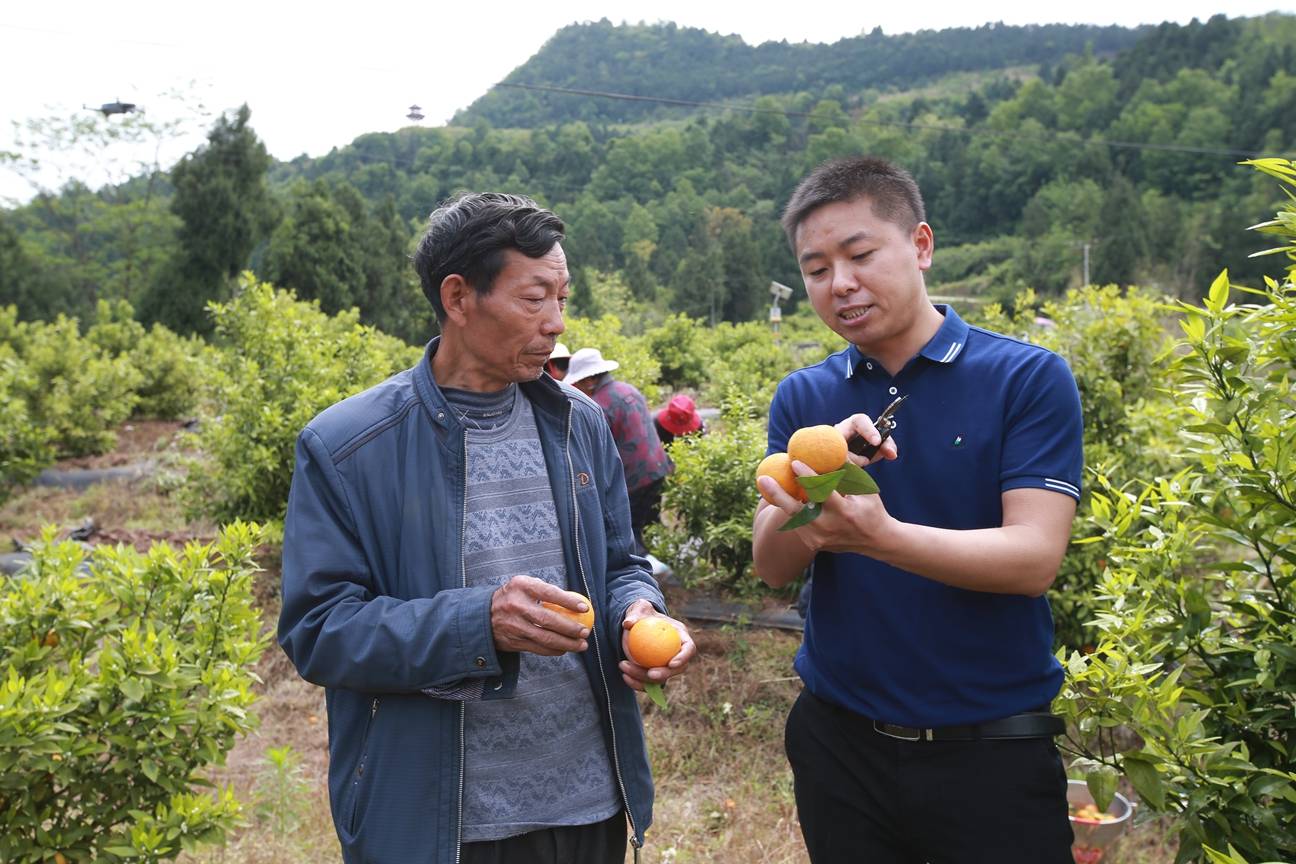 阆中市扶贫攻坚显成效 4年时间让五龙村大变样_乡村