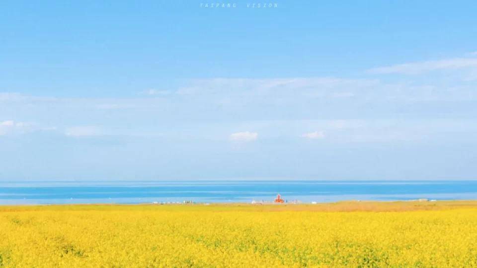 文章配图-7