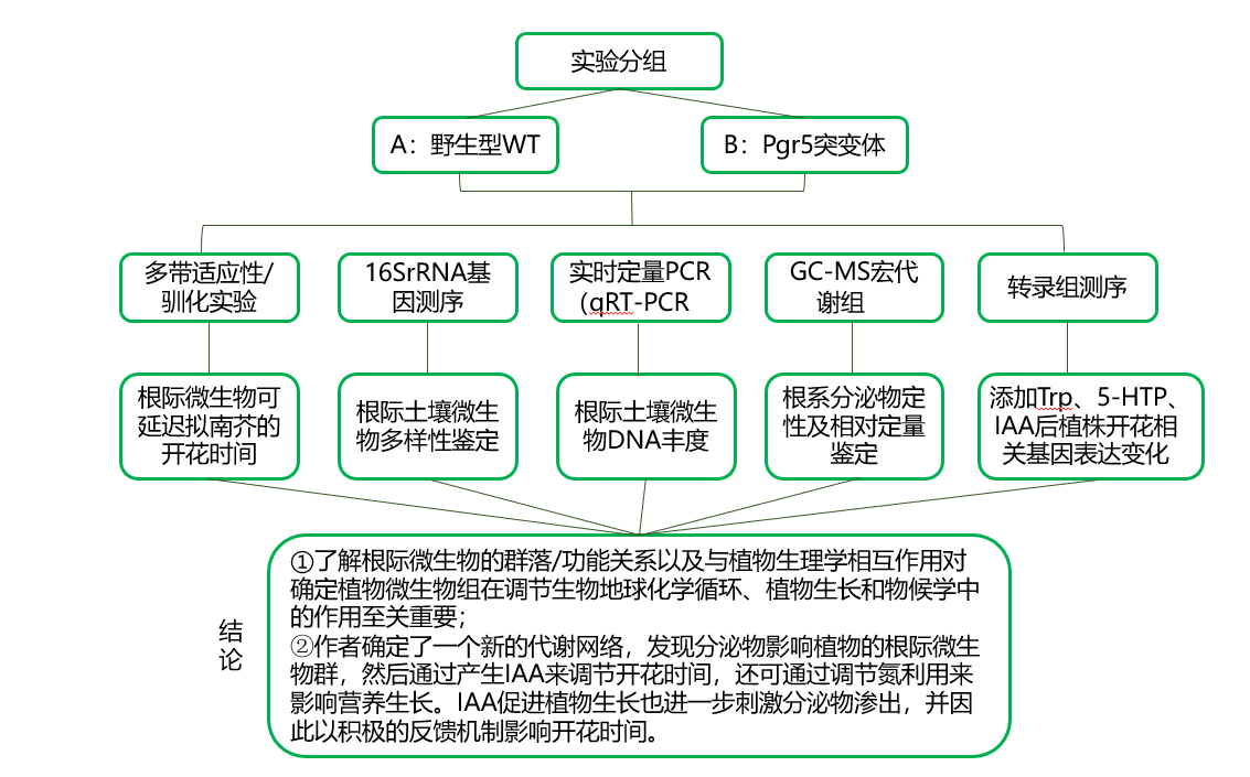 f9b5637c58bd47128aa135dac4d10369.png