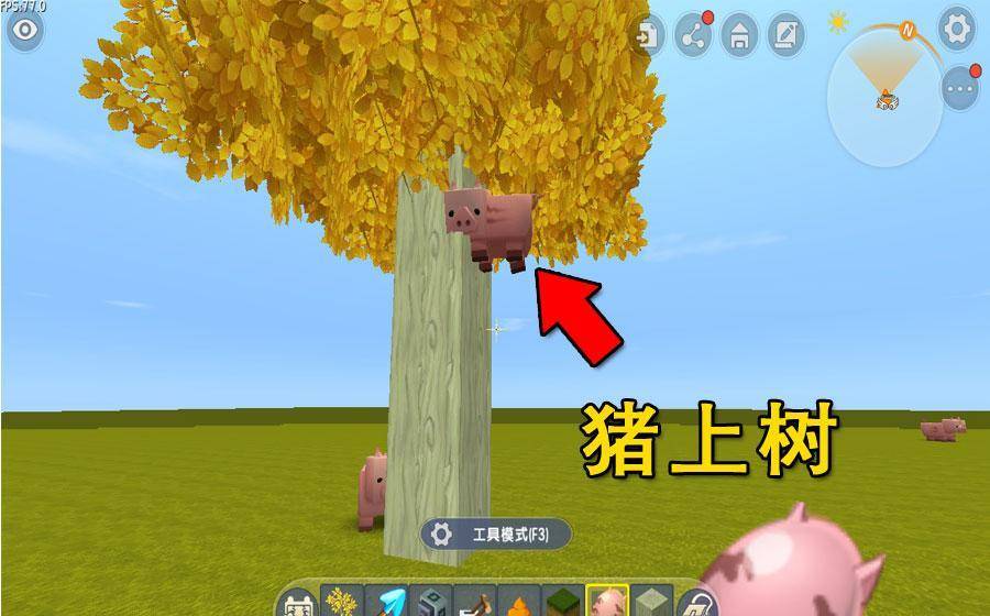 迷你世界:猪也能上树?玩家打破了现实限制,完成了猪上