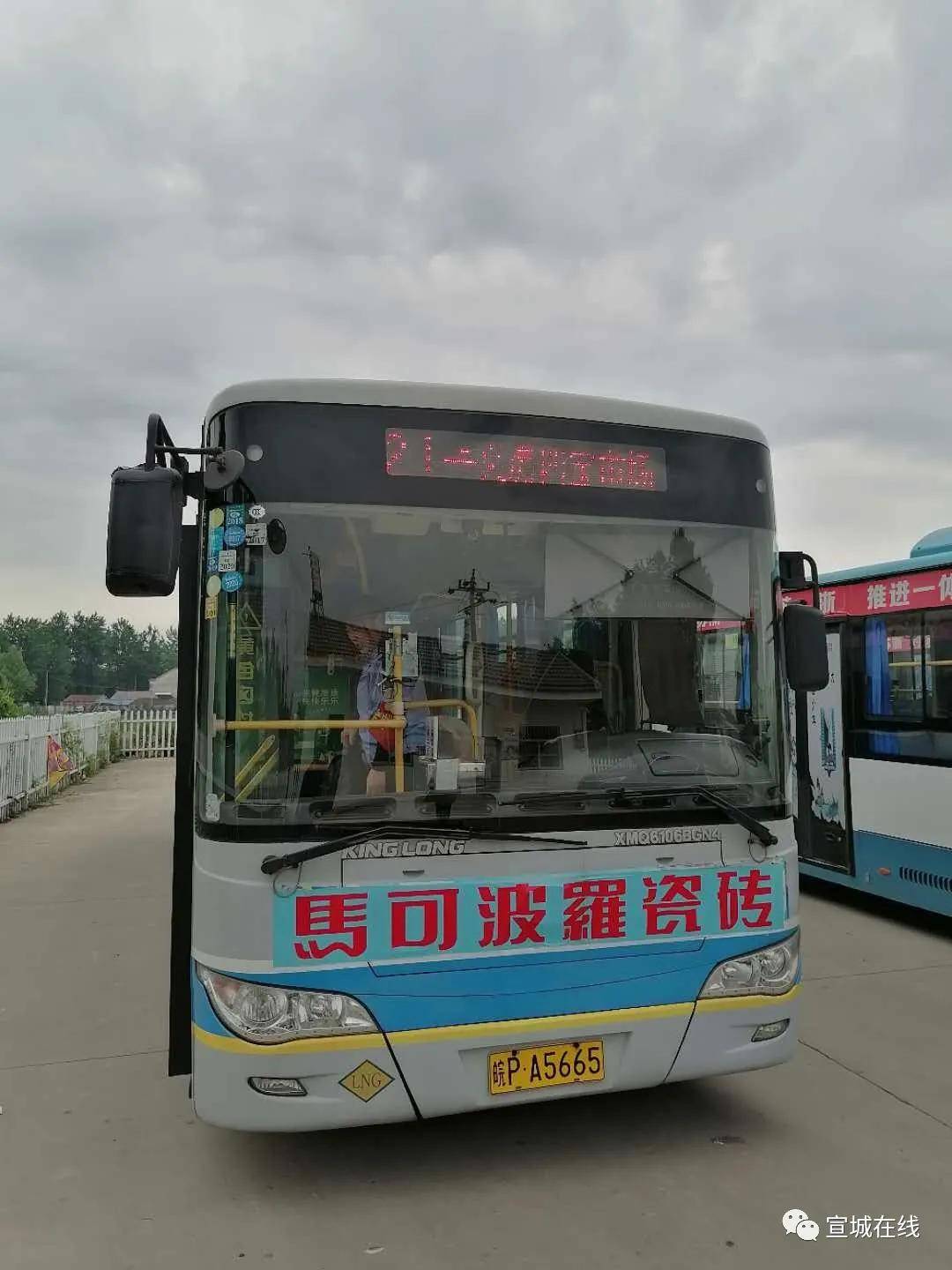 宣城1名公交车司机必须曝光!_手机搜狐网