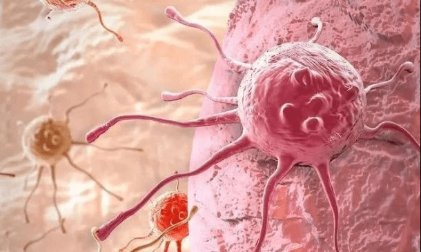 高清微观动图看人体免疫细胞如何杀死癌细胞
