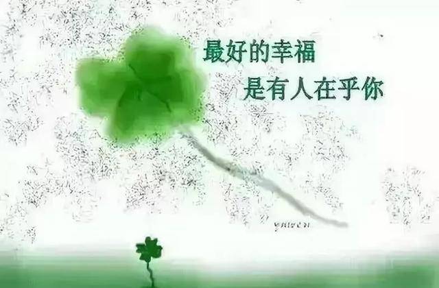 成语悲什么伤_两什么伤成语(2)
