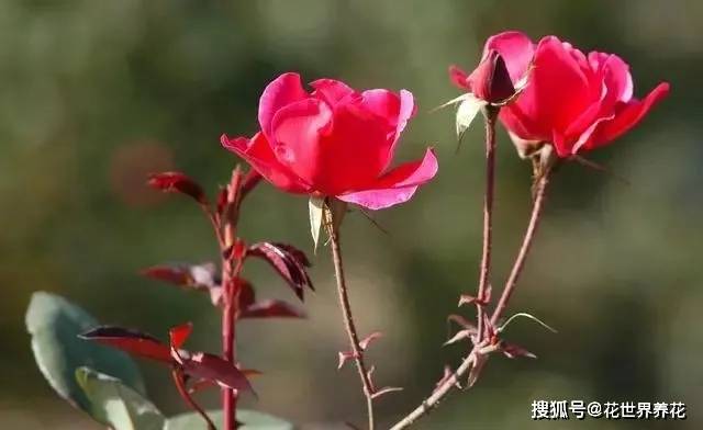 11e8bb23e89341419e0a0d74eee075a6.jpeg