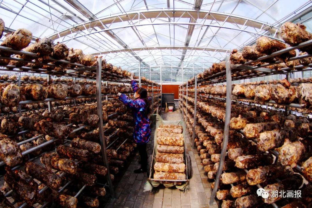 2020年郧阳区GDP_郧阳区一中图片(3)