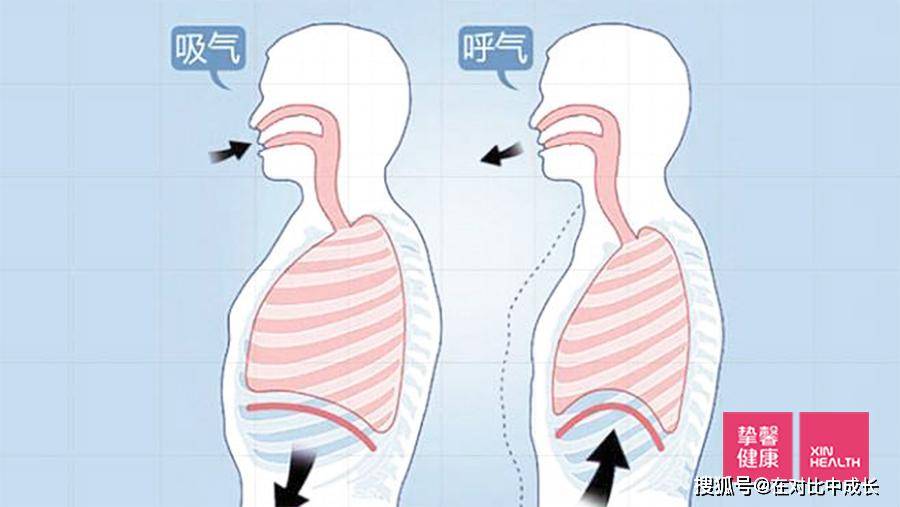 如何正确呼吸以改善健康?