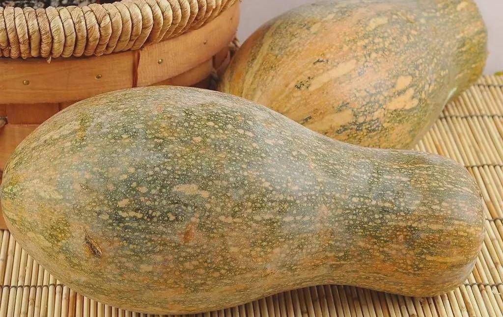孩子|捏积派——孩子为什么会脾胃虚弱？小儿推拿加食疗养出好脾胃