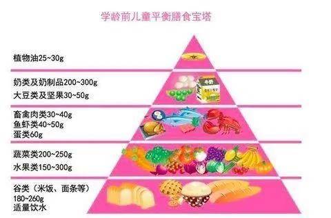 中国学龄前儿童膳食宝塔 第一层(底层):谷类(米饭,面条等)180-260g