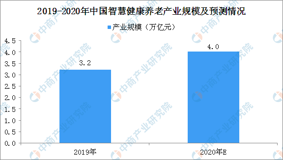 2020我国人口现状_农村人口老龄化现状(2)