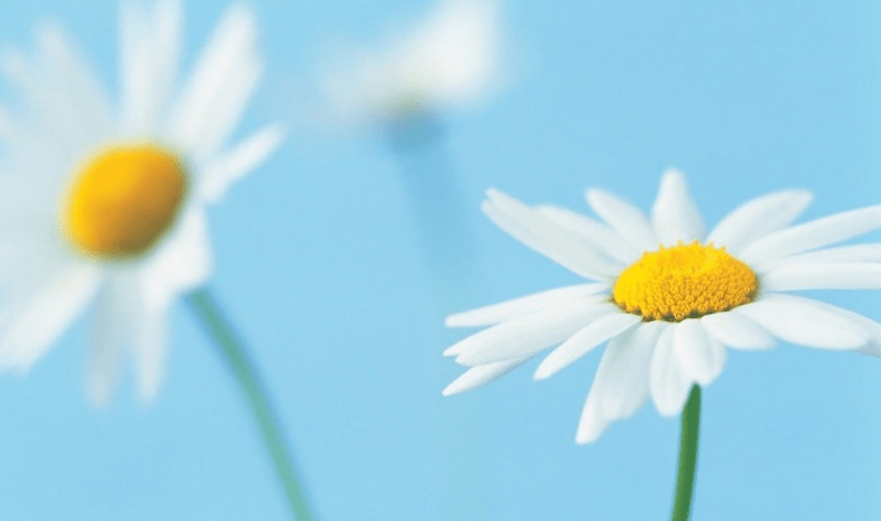 6月起3生肖財運大發，事業紅紅火火，事業旗開得勝 星座 第3張