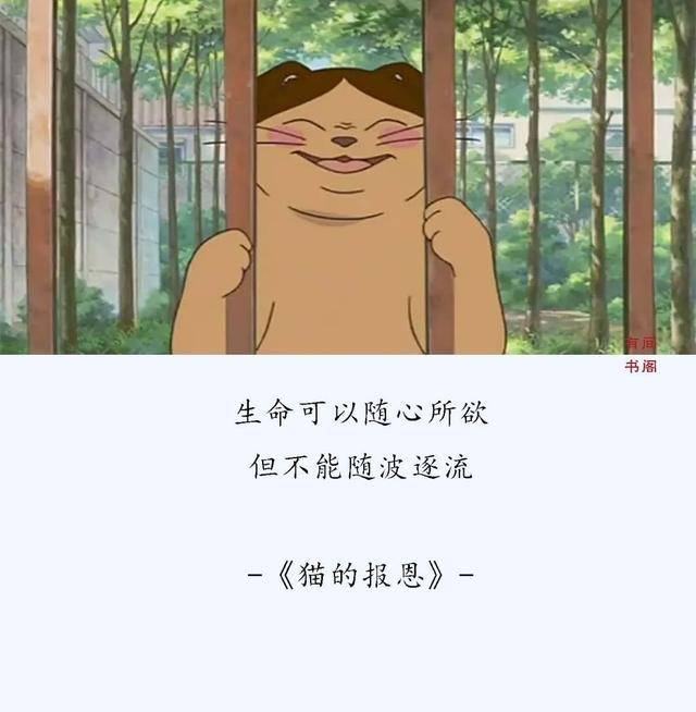 宫崎骏经典动画语录:因为你,我想要变成一个更好的人!