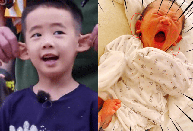 陈小春首晒次子正面照,样貌与jasper极像,父子仨耳朵都超大抢镜