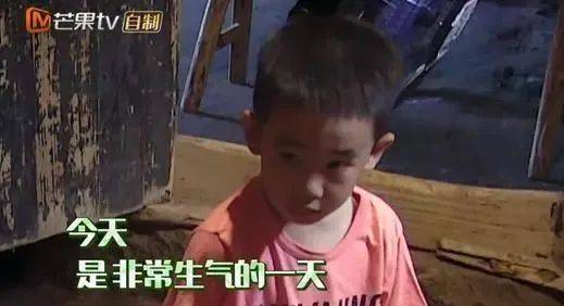 原创应采儿生2胎jasper不开心，变沉默自称嫉妒，陈小春的处理方式很好