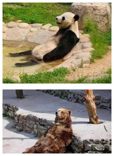 空中作业猜成语_看图猜成语